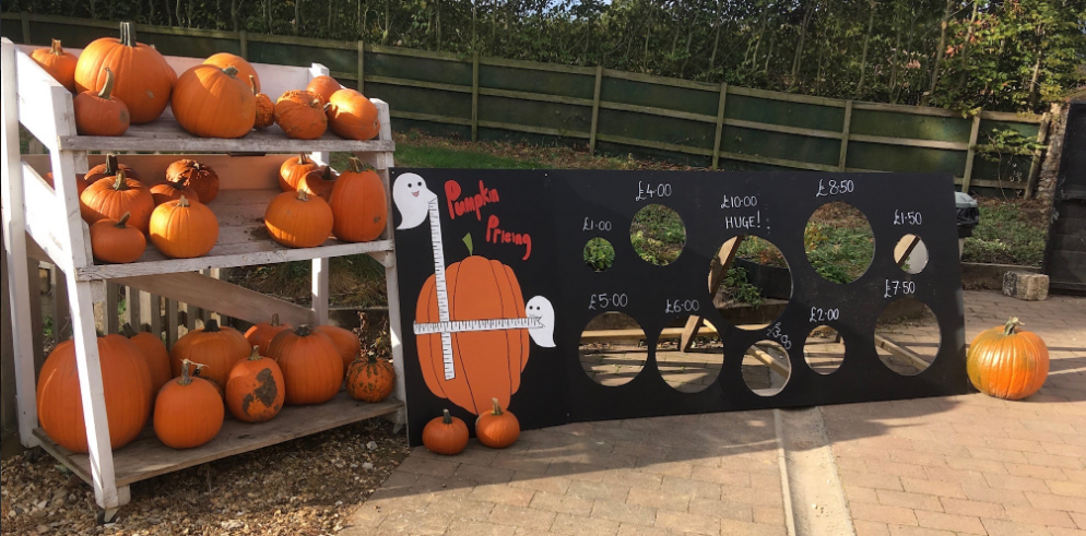 Algy's Farm Shop Pumpkin Patches In Norfolk