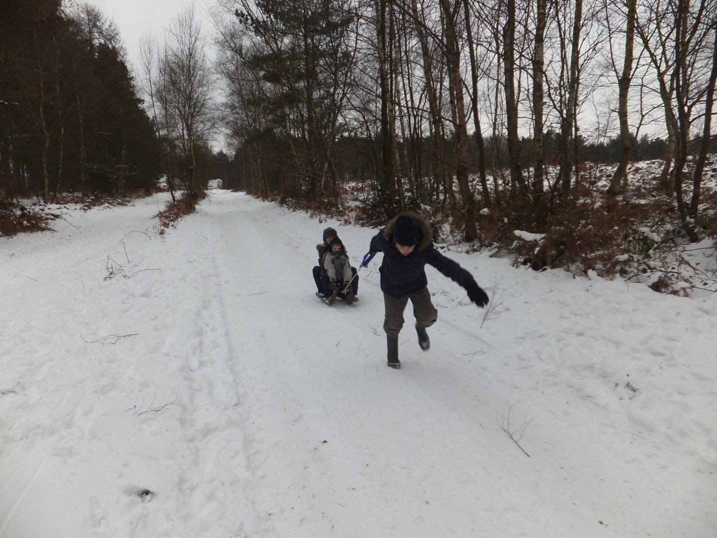 Forest walks can be taken in all weathers especially the snow when accompanied by a sledge