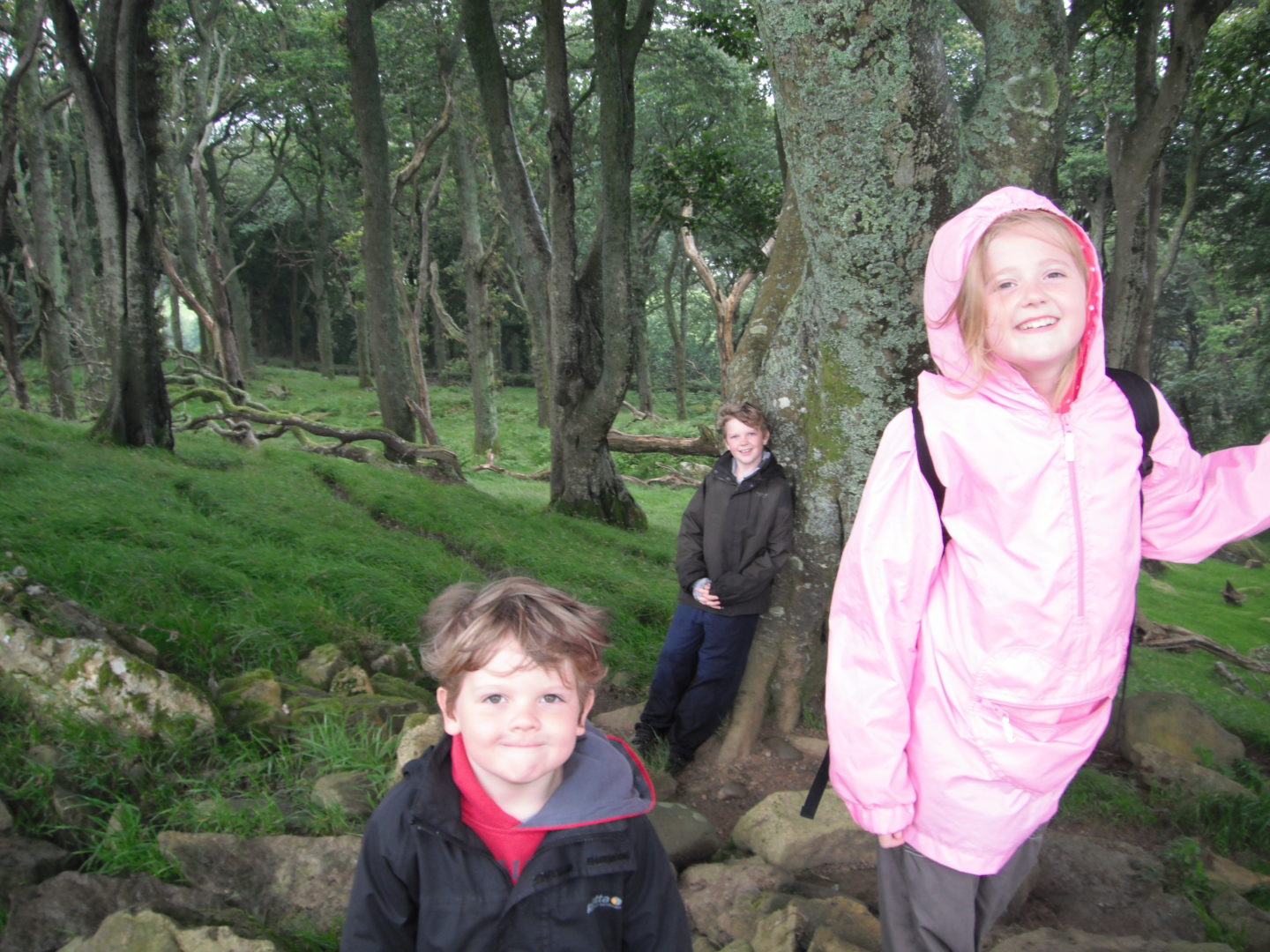 Neva, kaide and Lochlan smiling on their woodland walk