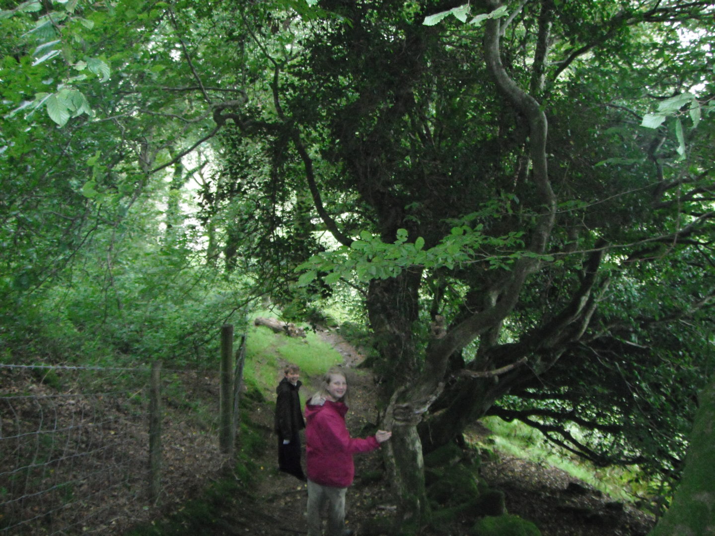 Xene and Lochlan going deeper into the trees on woodland walks