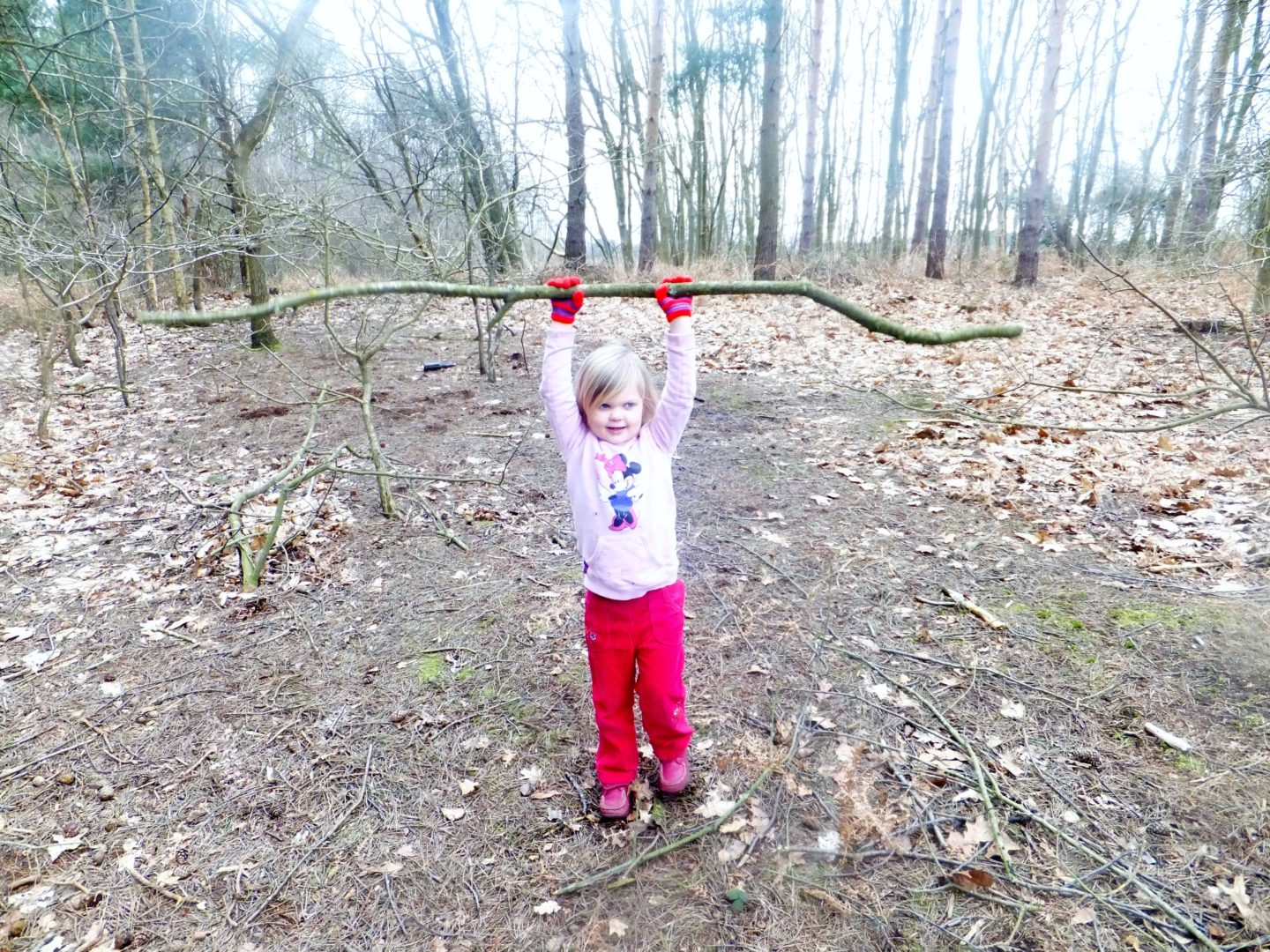 Eown loves collecting giant sticks on woodland walks