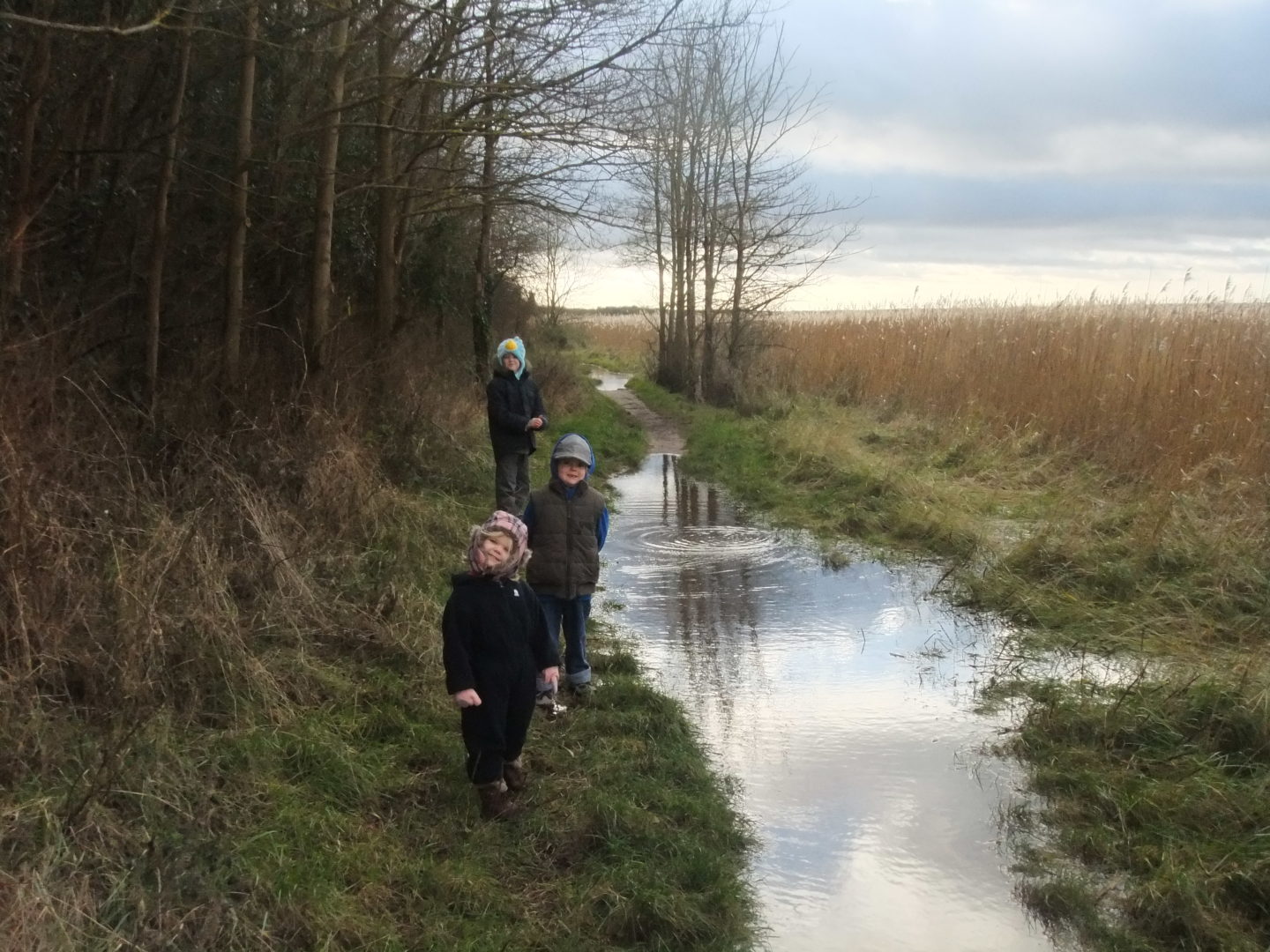 Eowyn, Kaide and Lochlan navigating puddles on a wet woodland walk