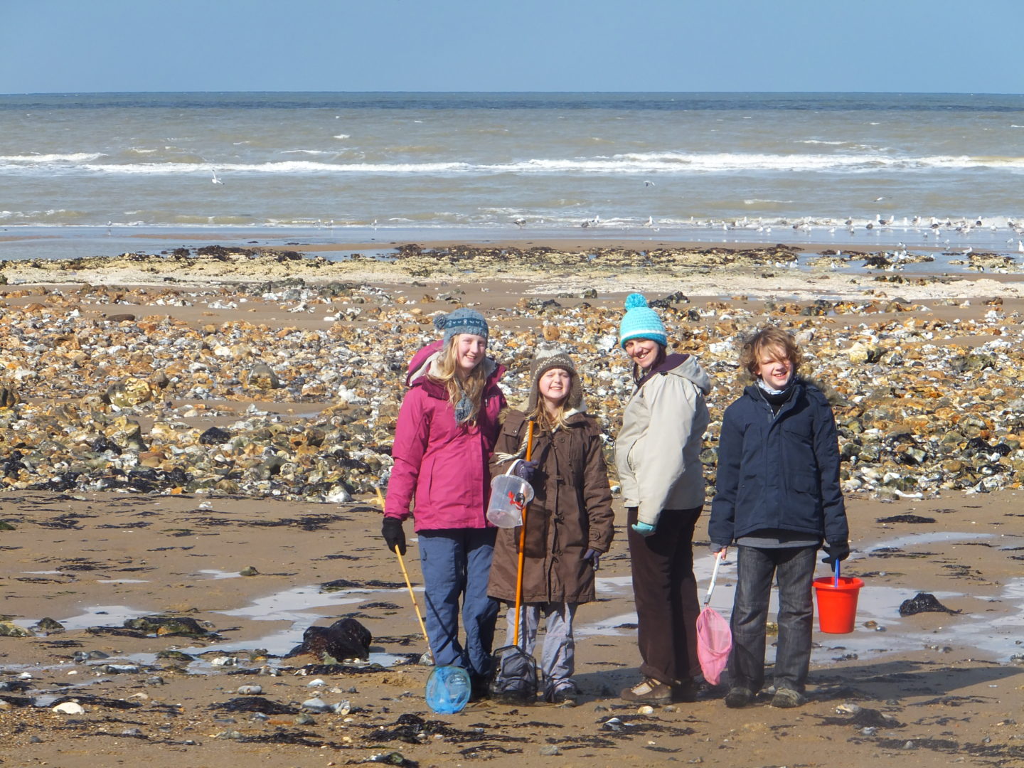 You really can go rockpooling at any time of the year, just remember hats and gloves in the winter