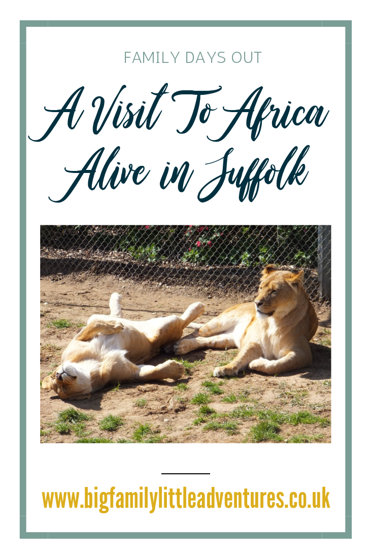 Africa Alive is situated in Kessingland Suffolk, home to many African animals including Lions, Giraffes, Zebras, Meerkats, Lemurs, Rhinos and many more, the perfect day out for a large family.