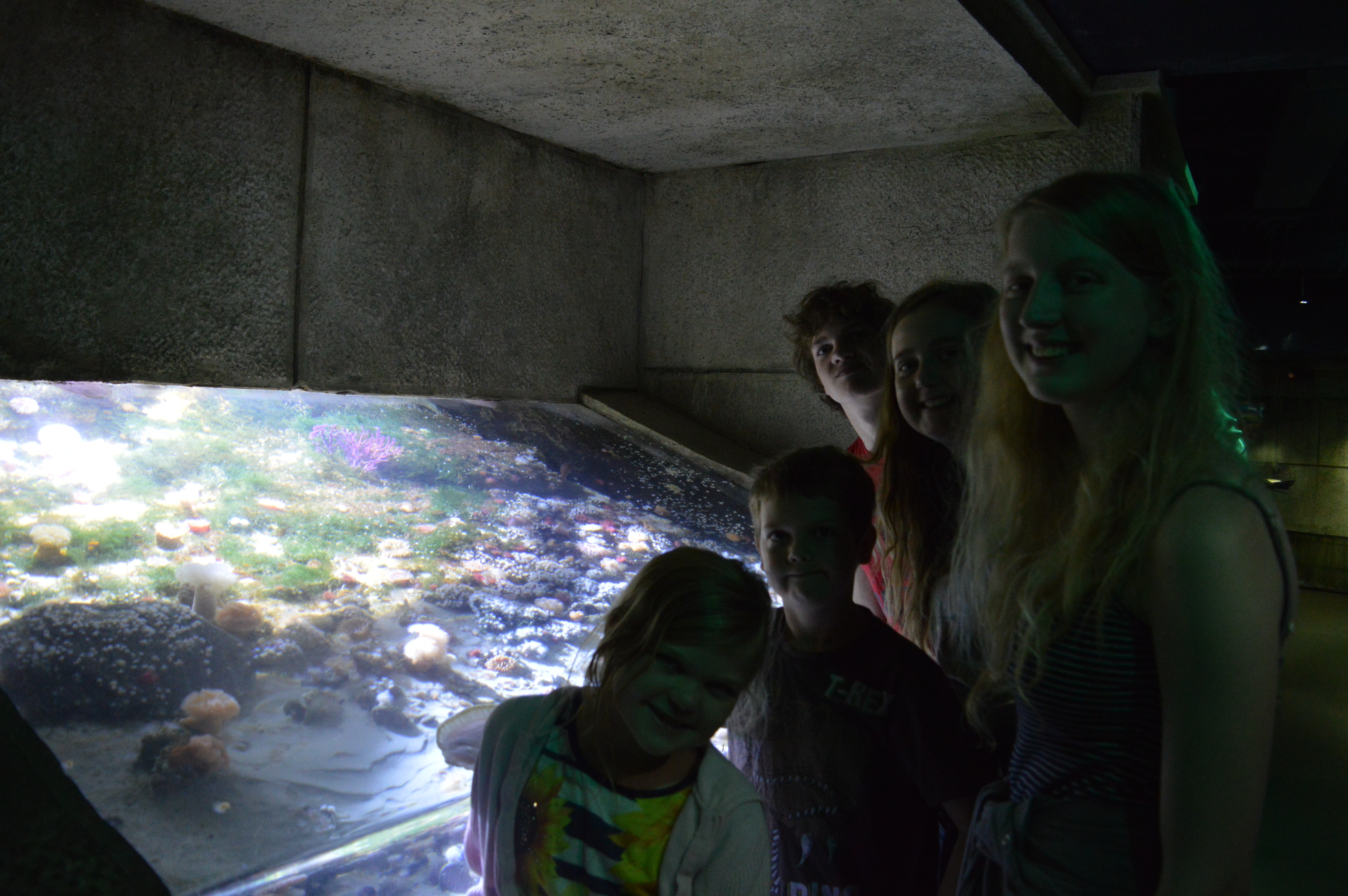five eldest looking at the fish