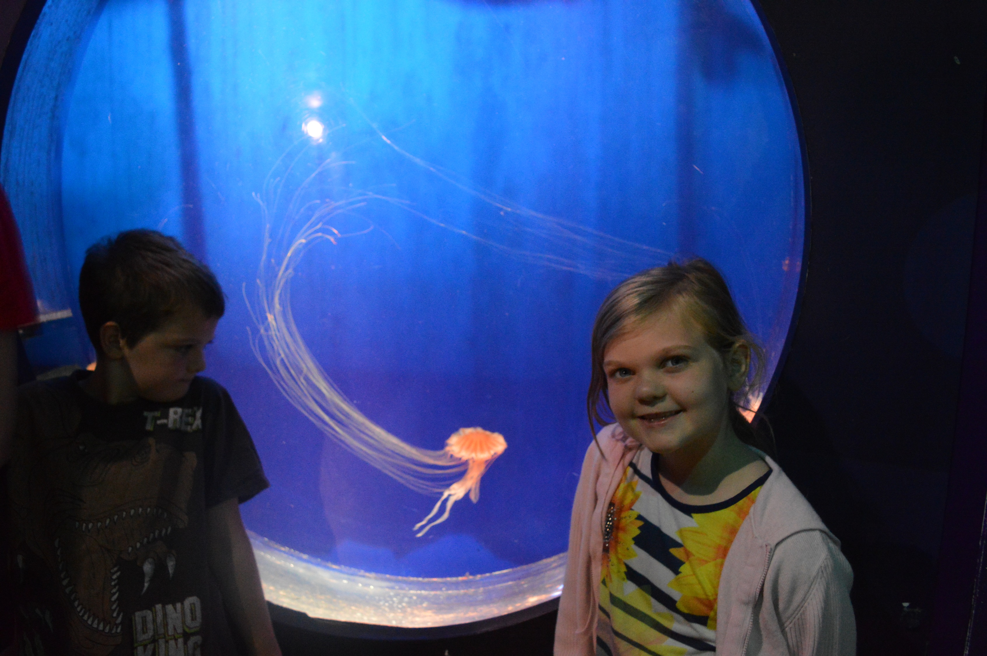Kaide and Eowyn stood next to the jellyfish tank