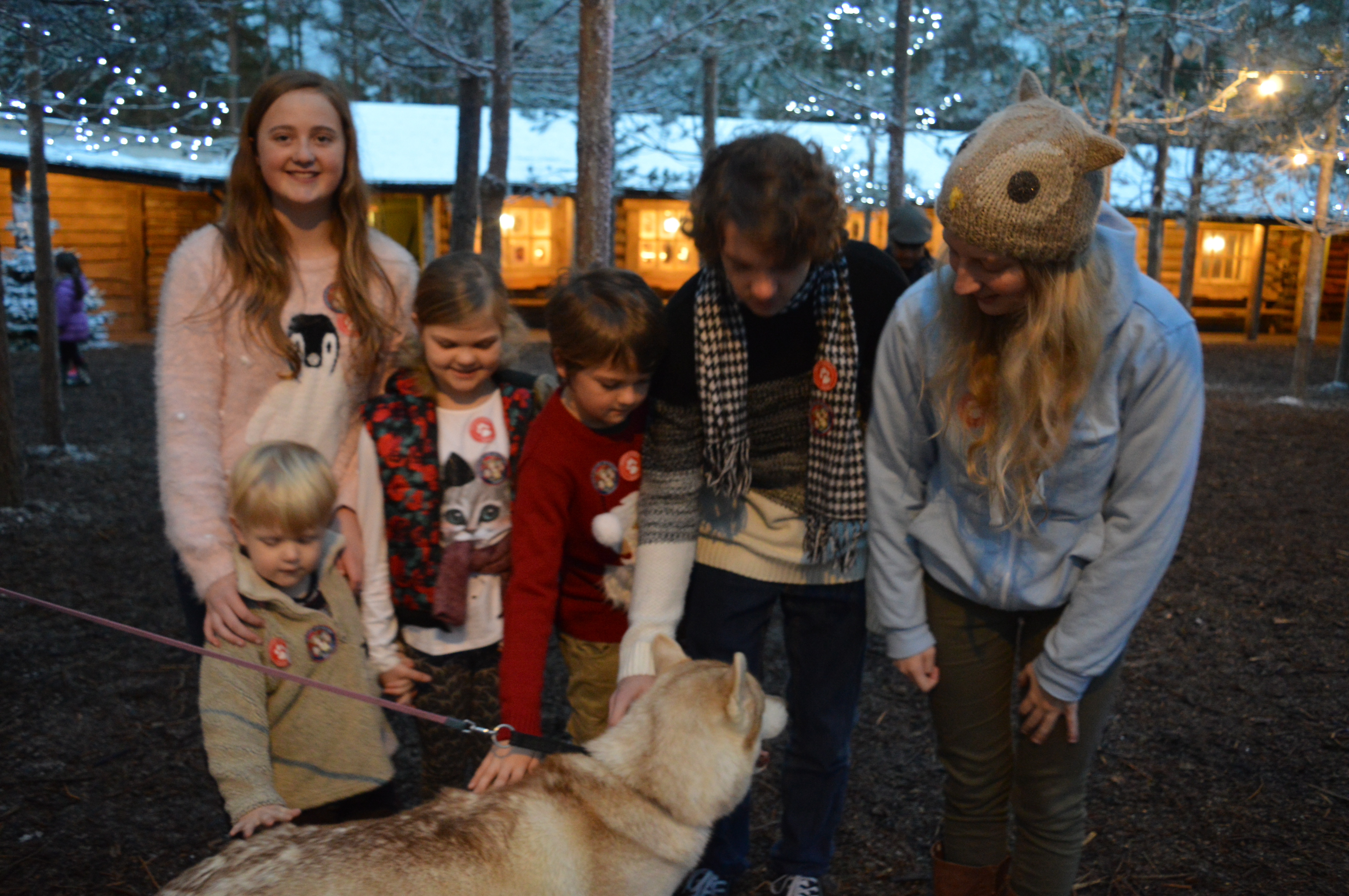 Children making friends with the Huskeys at Lapland UK