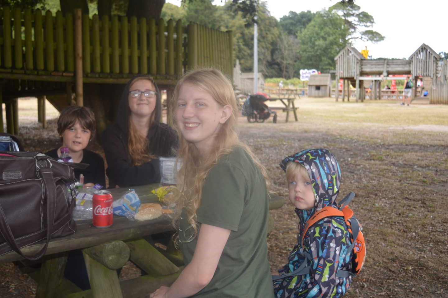 Roarr! Dinosaur Adventure picnic area