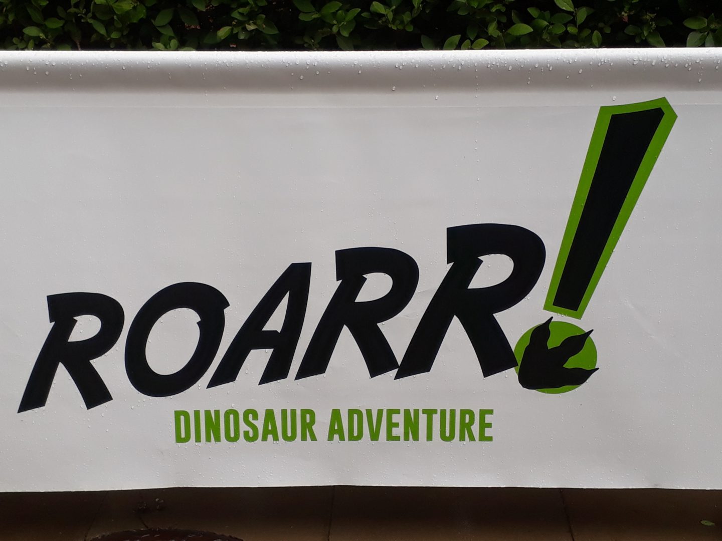 Roarr! Dinosaur Adventure Sign