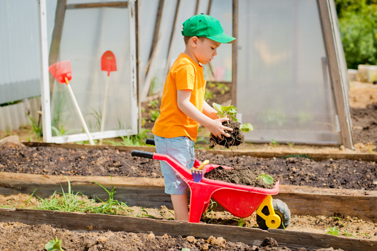 Fun Outdoor Activities: Spend More Time with Your Kids A Rainbow Garden