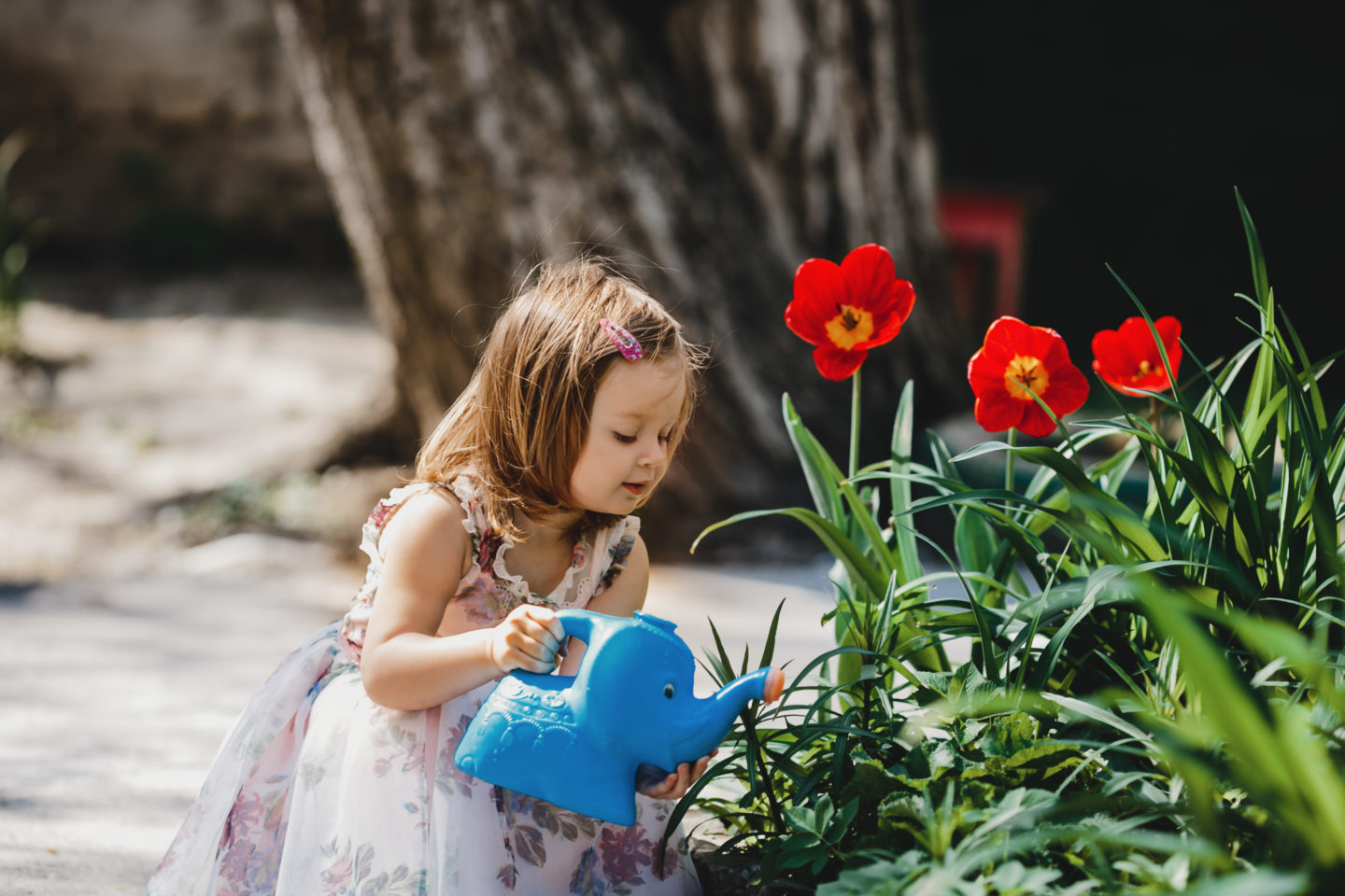 Fun Outdoor Activities: Spend More Time with Your Kids Gardening