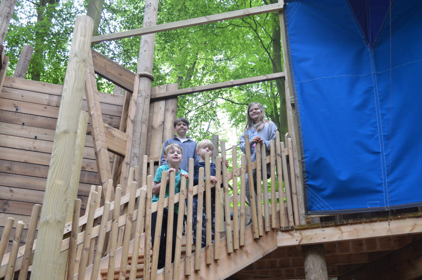 Towering Treetop Tangles at BeWILDerwood