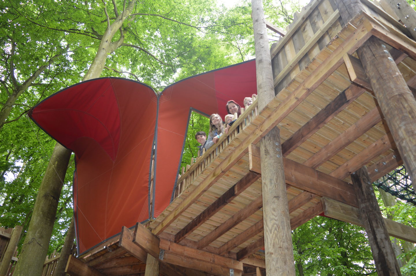 Towering Treetop Tangles at BeWILDerwood