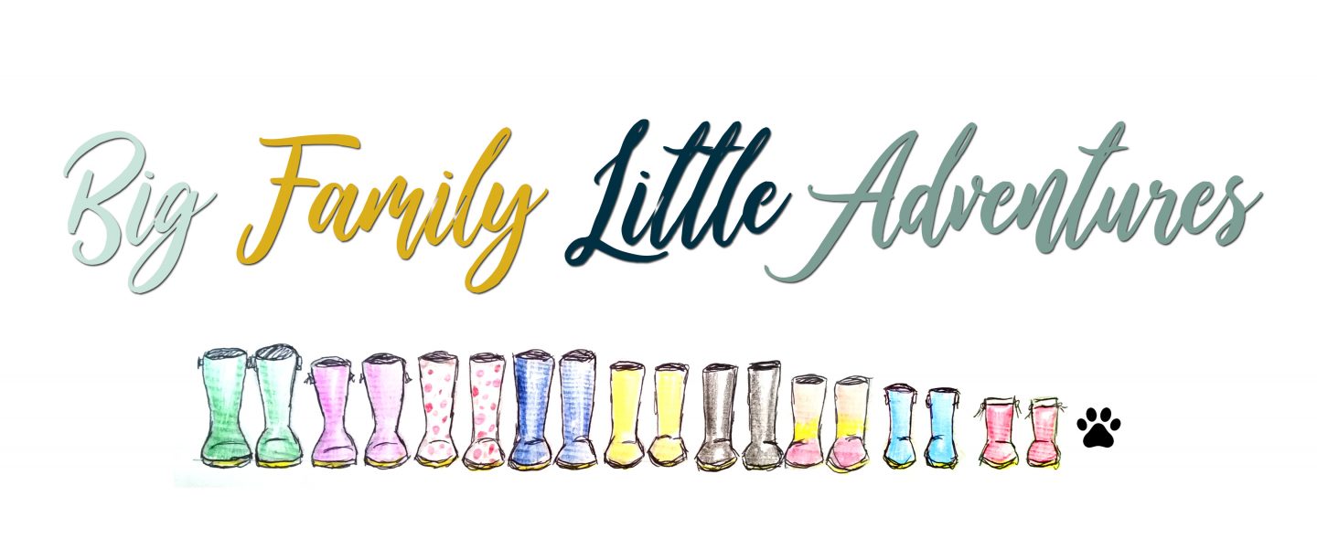 Big Family Little Adventures