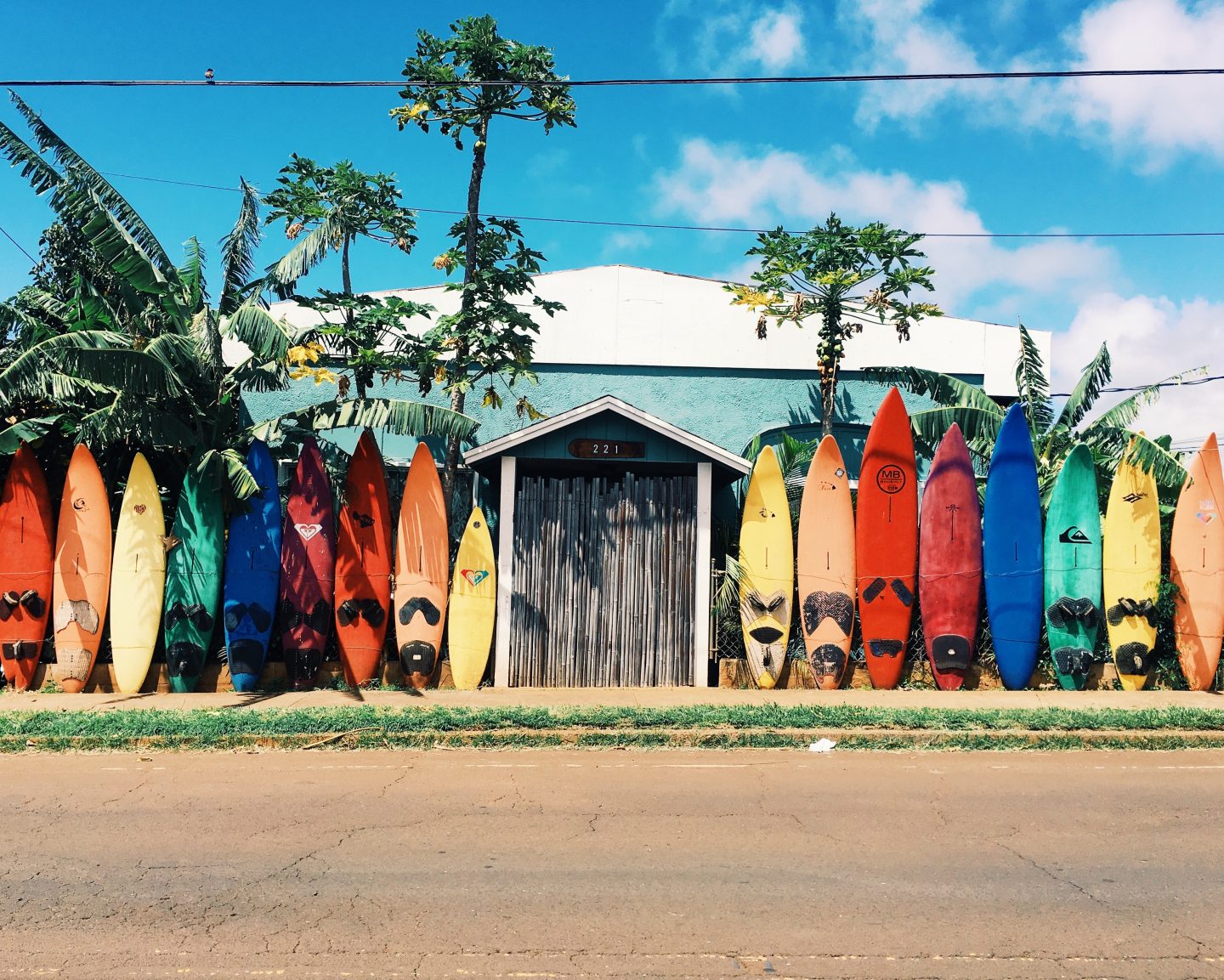 7 reasons you should surf
