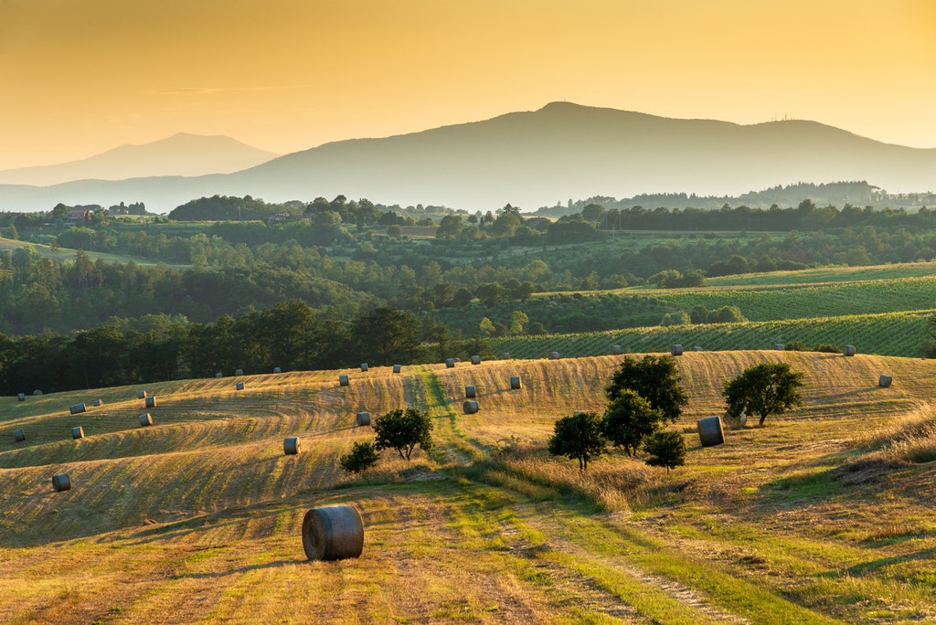 Hunter Valley 3 hours from Sydney