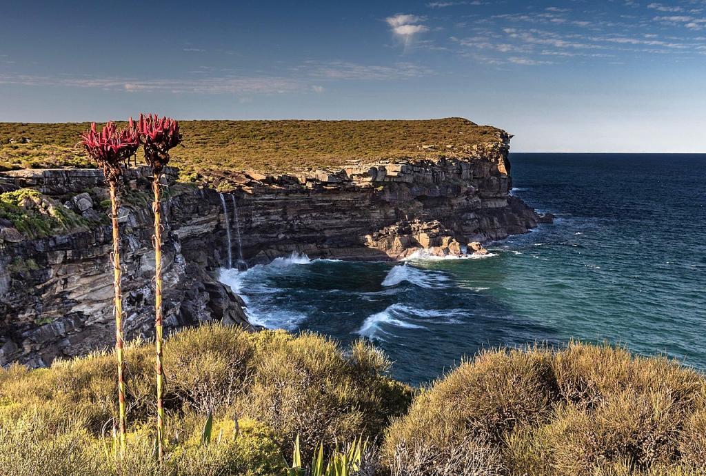 Royal National Park Sydney