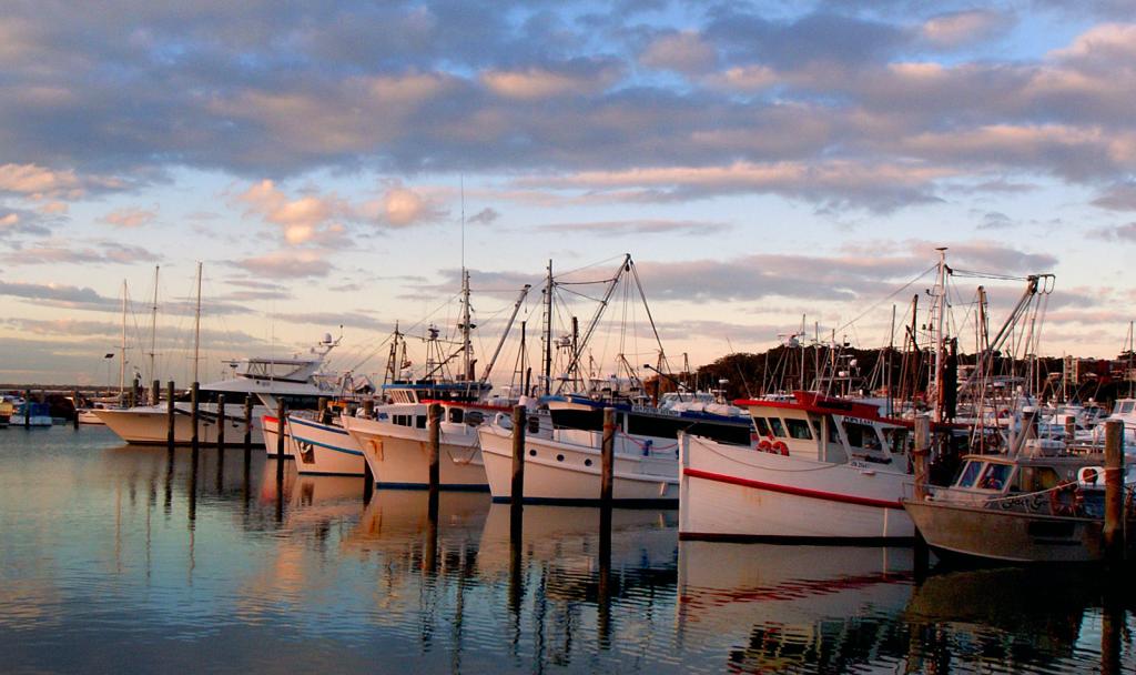 Port Stephens Sydney