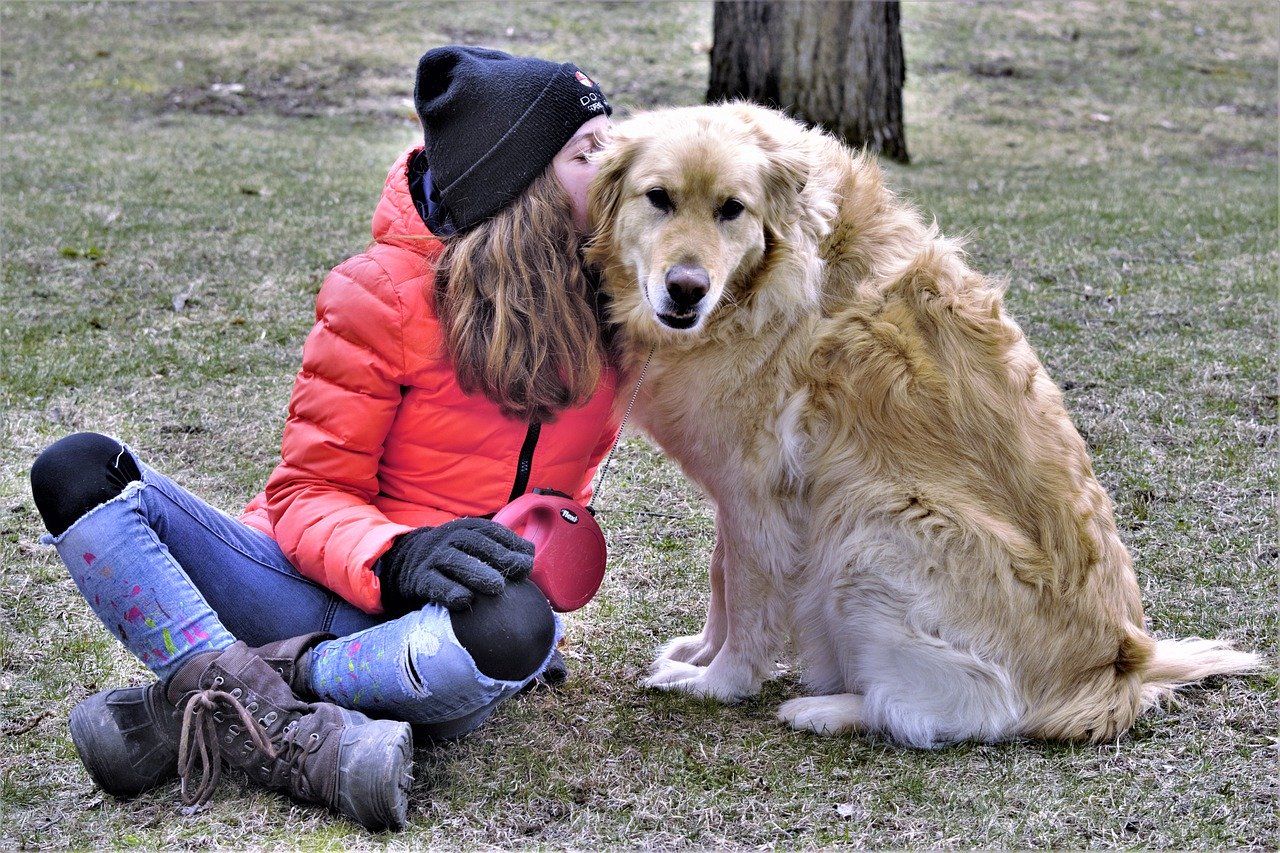 What to do if your child is bitten by a dog - Big Family Little Adventures