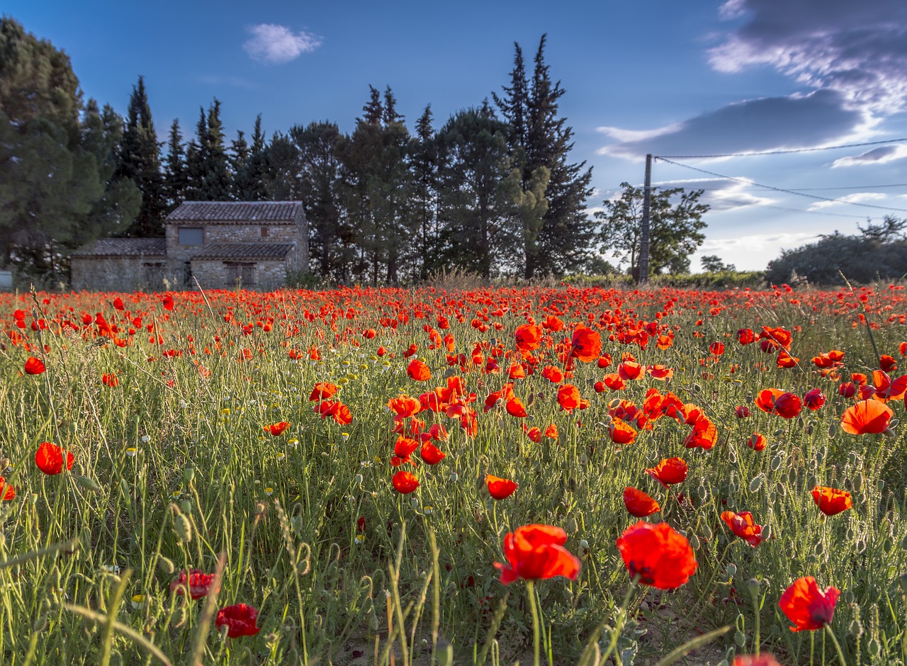 France On a Budget - Languedoc