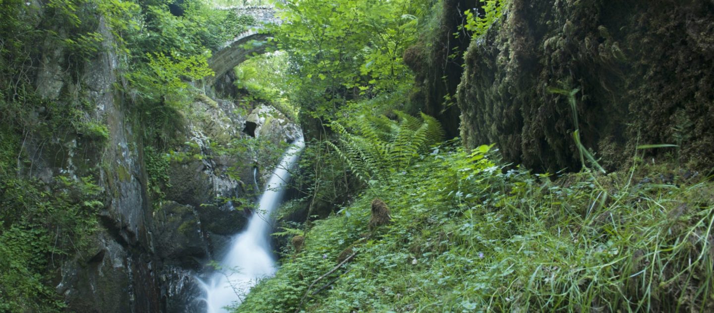 Things To Do in Lake District - Aira Force