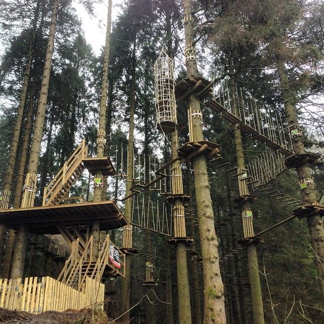 Things To Do in Lake District - Go Ape Grizedale