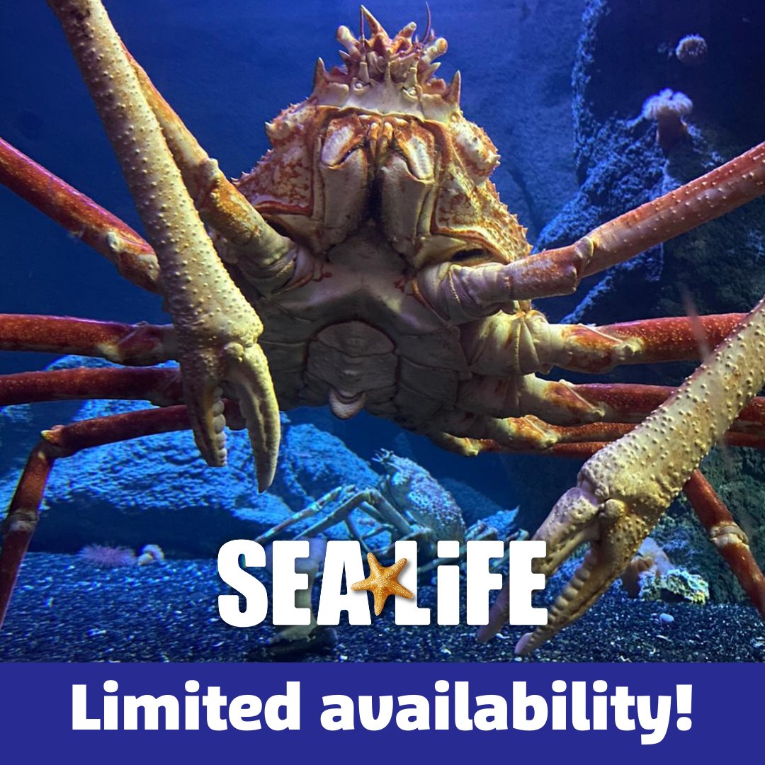 Things To Do in Manchester For Kids - Sealife Manchester
