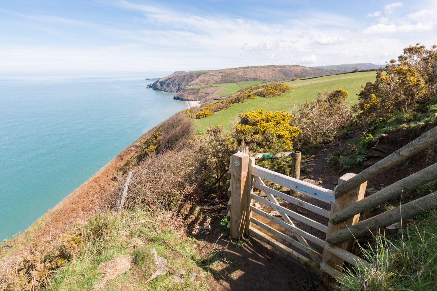 new quay wales places to visit