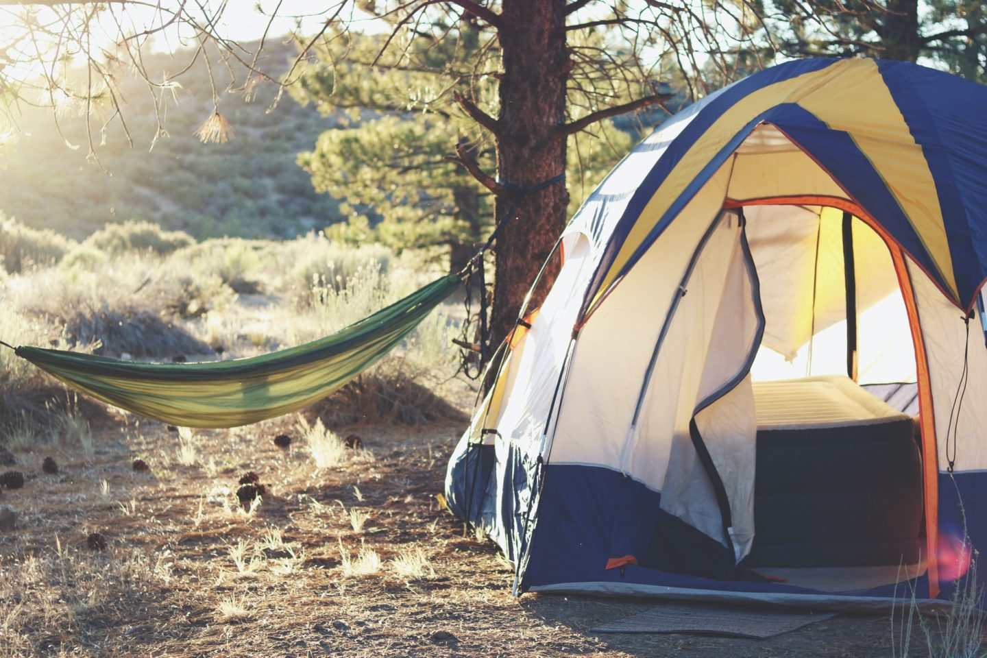 Tips For Sustainable Camping 2024