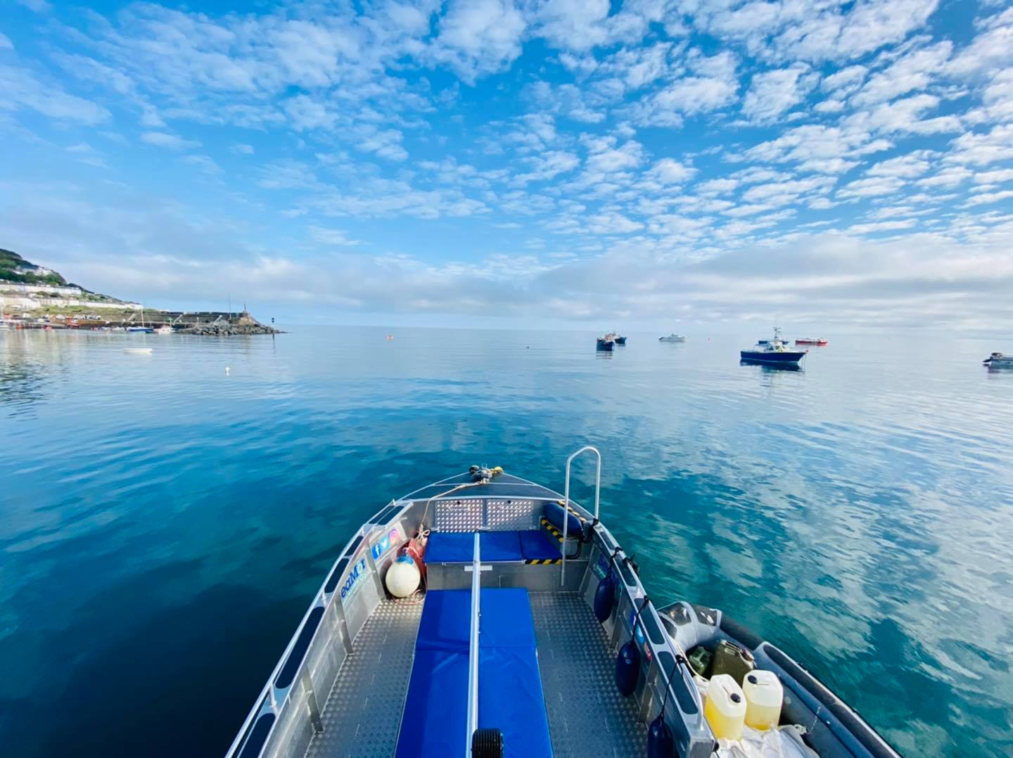 things to do in New Quay Wales - Seamor Dolphin Watching Boat trips