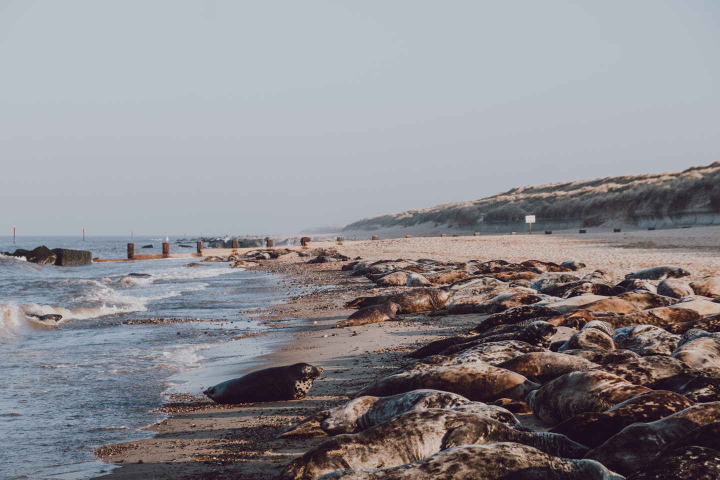 best beaches in England - Horsey Beach Norfolk