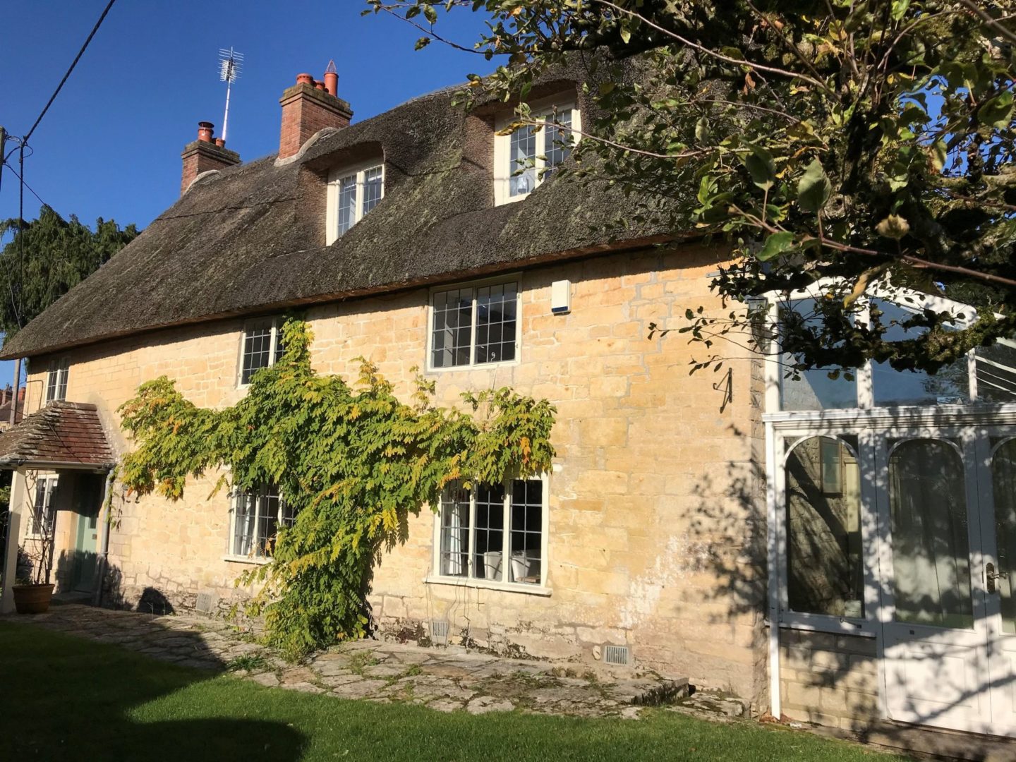 dog friendly cottages Dorset Bay tree Cottage