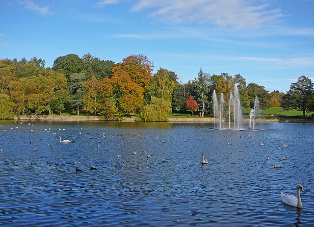 things to do in Leeds - Roundhay park
