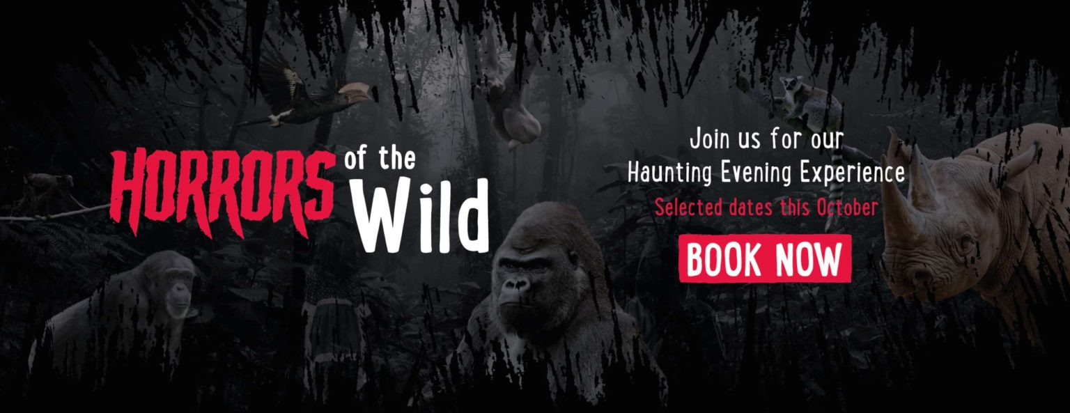 Horrifying Halloween Scare Events 2023