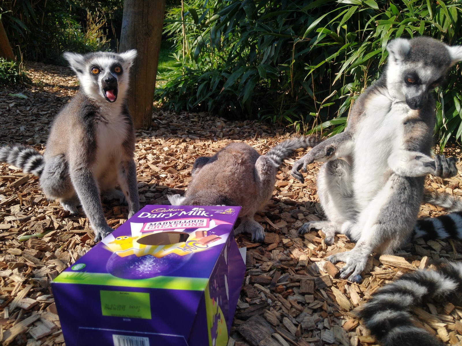 Fantastic Zoo and Safari Park Easter Events 2022 To Visit