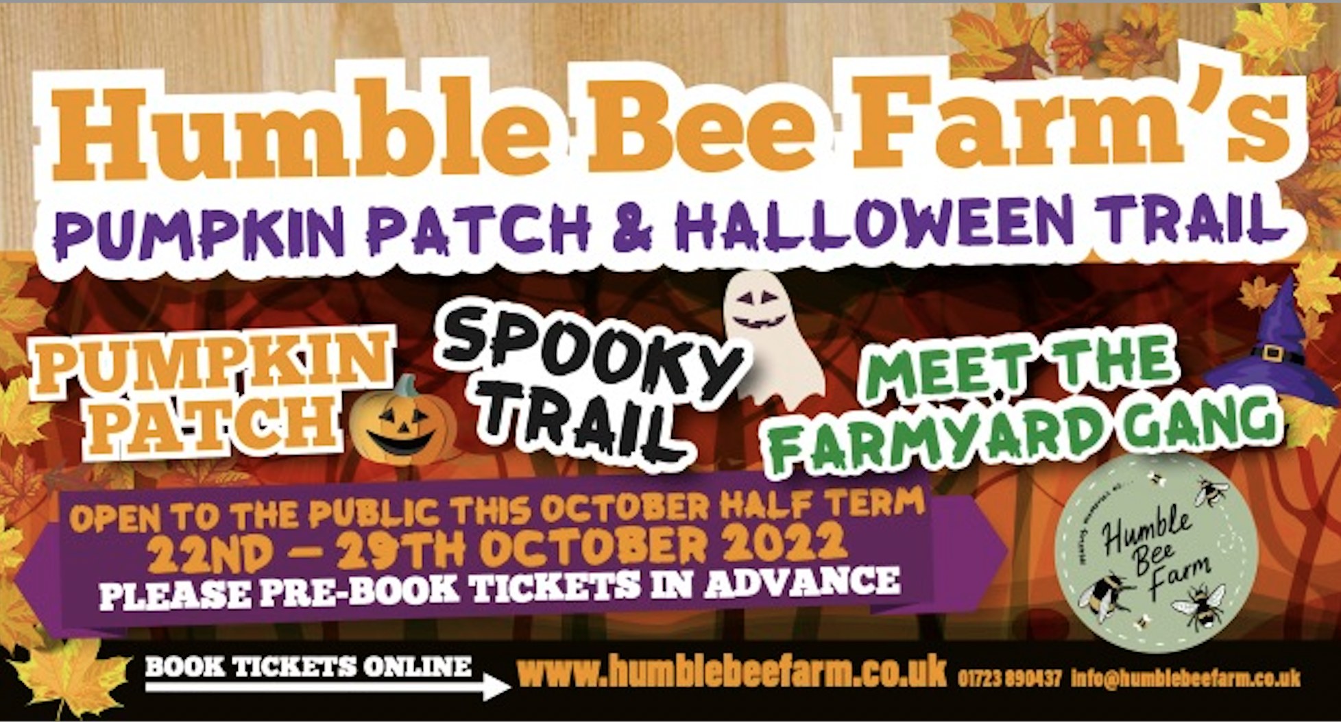 Halloween Events Near Me 2024 For Families Near Me Helga Isabelle