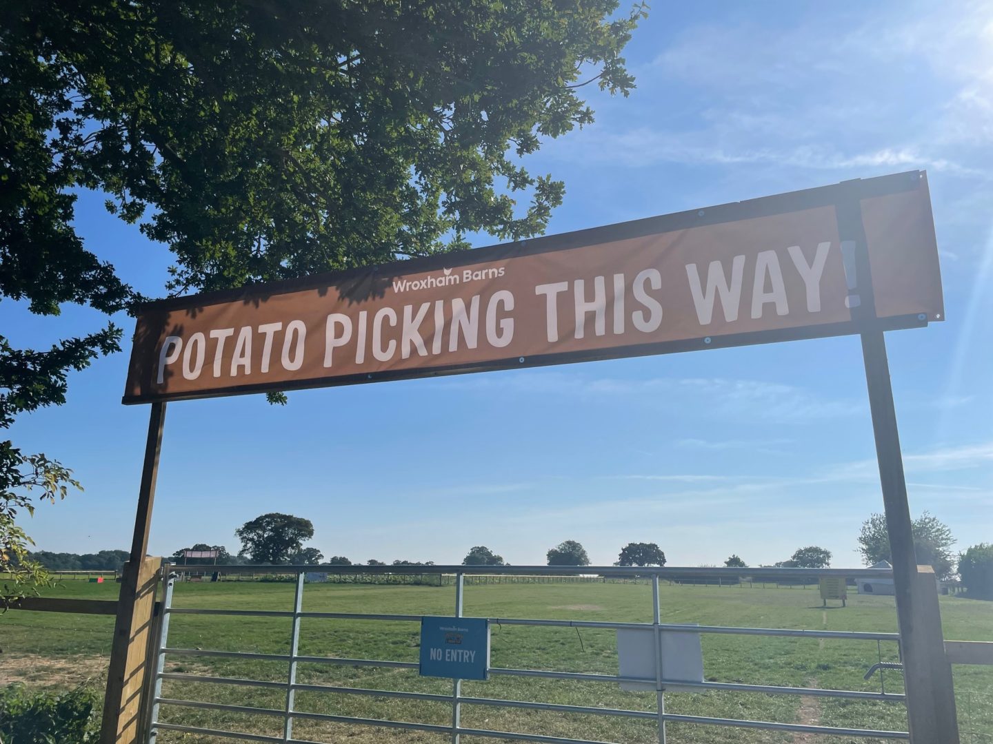 Potato Picking