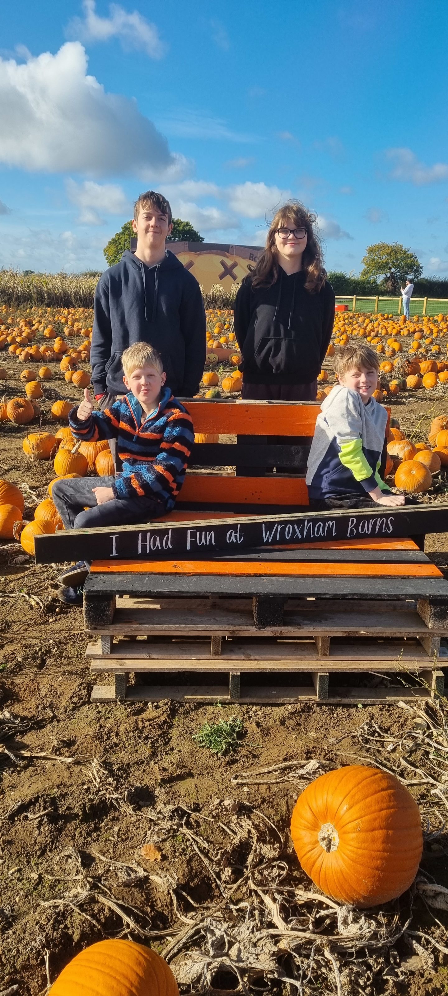 wroxham barns pumpkin festival