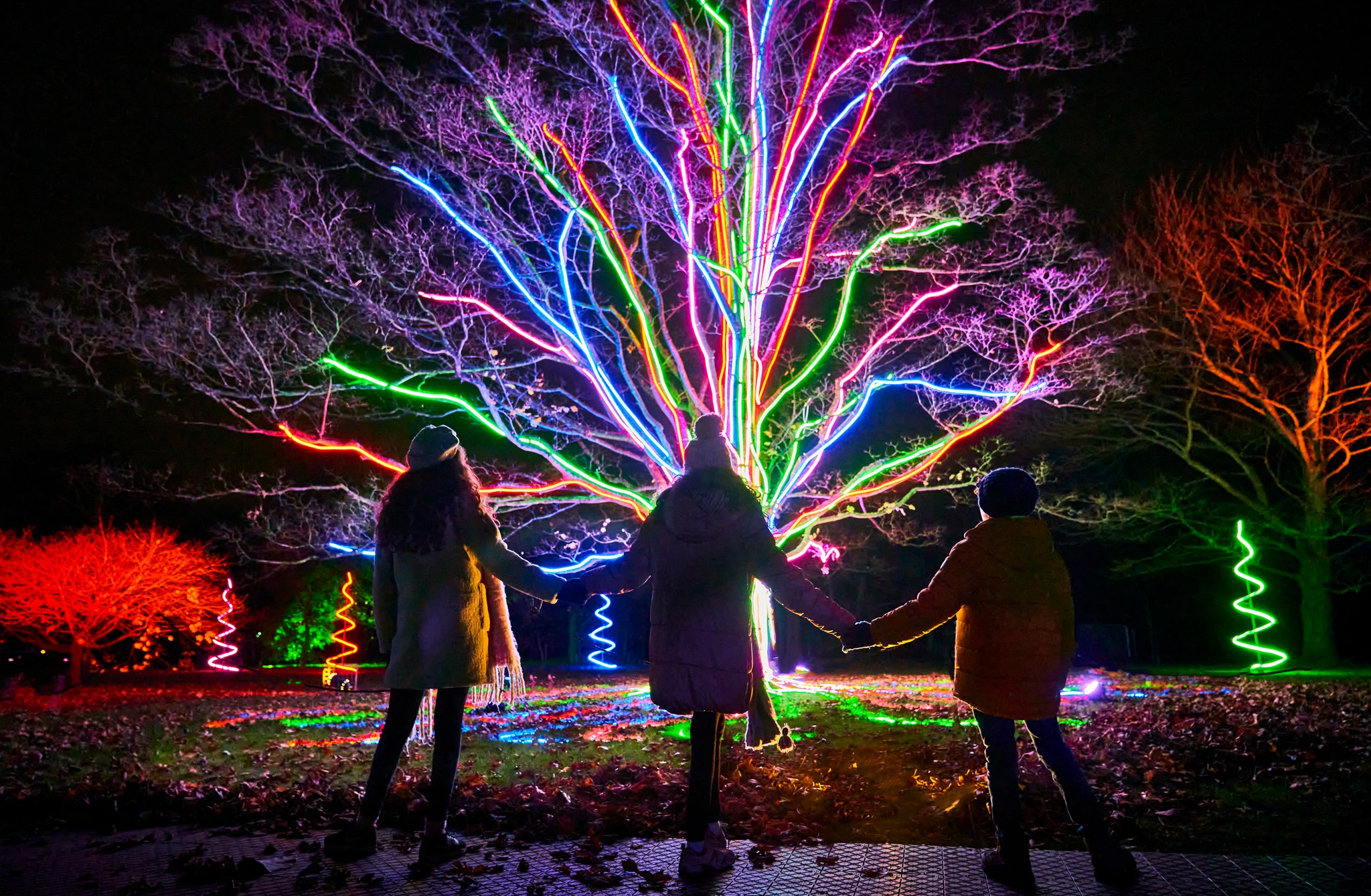 Where To See Illuminated Trails and Christmas Lights Near Me