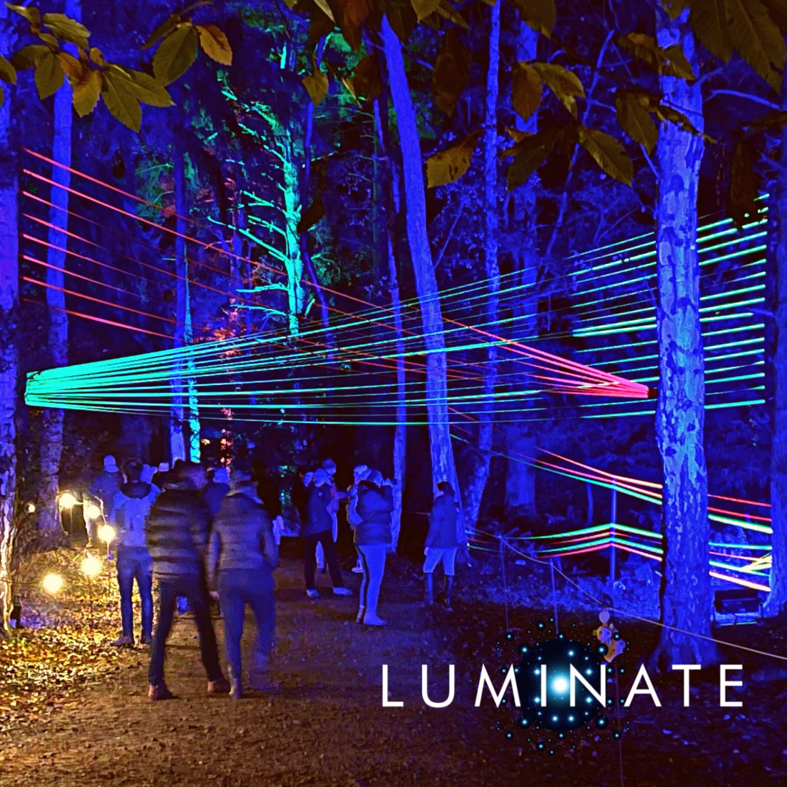 Where To See Illuminated Trails and Christmas Lights Near Me 2024