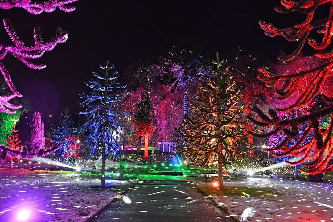 Best Christmas Lights Near Me To See In 2024   Sewerby Hall Winter Woodland 