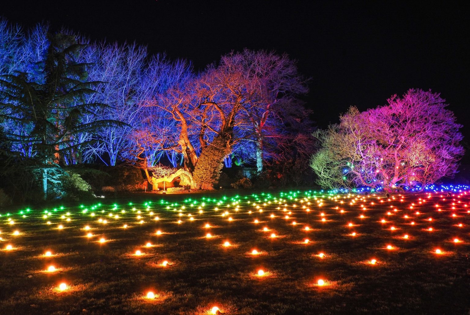 Where To See Illuminated Trails and Christmas Lights Near Me 2025