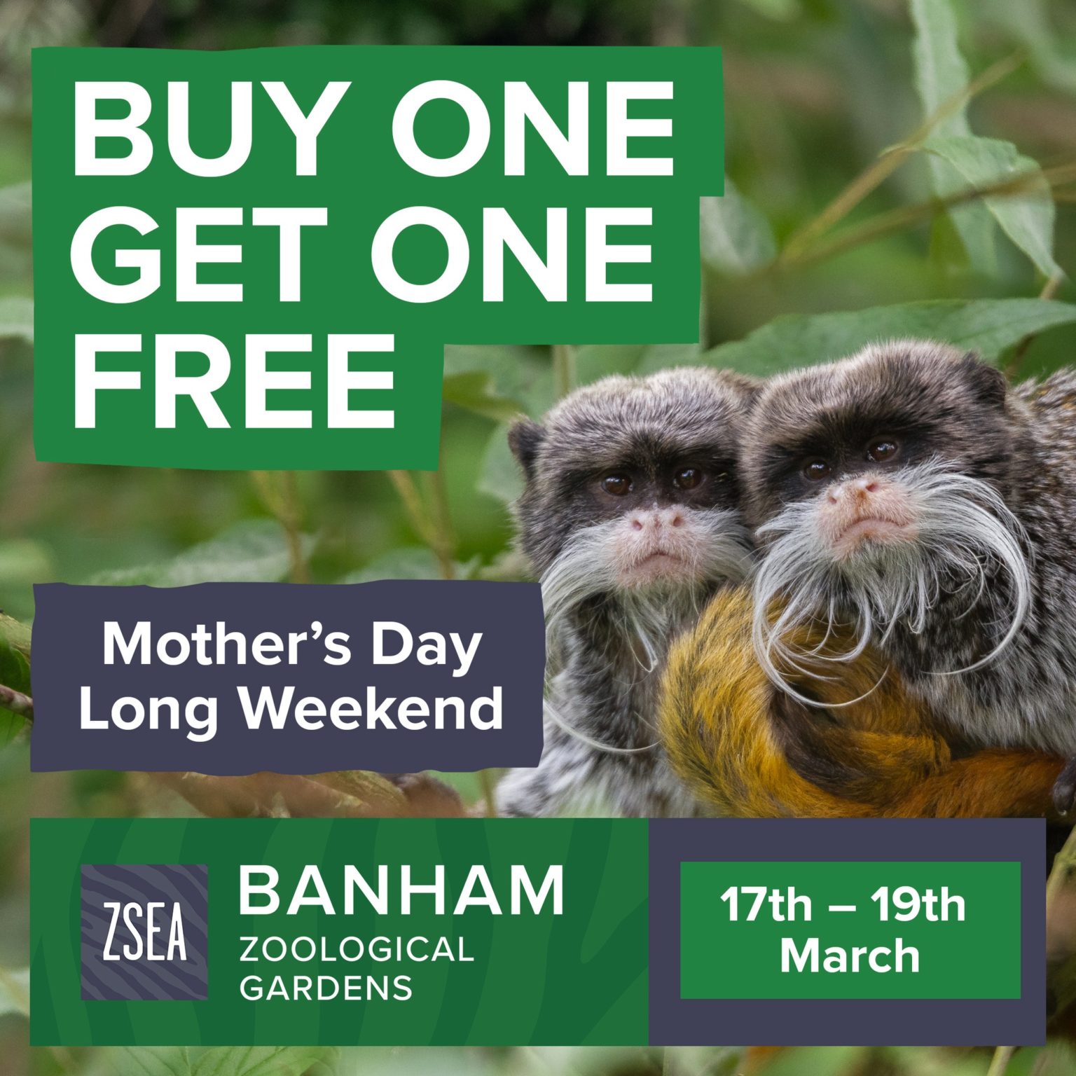 Mothers Day Weekend Mums Go Free Offers 2023