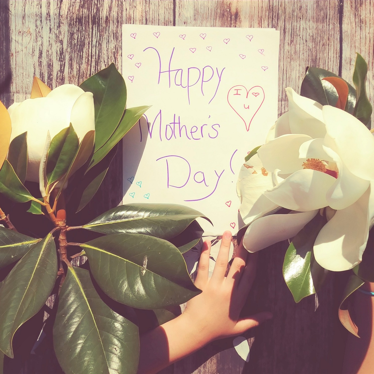 Mothers Day Weekend Mums Go Free Offers 2023