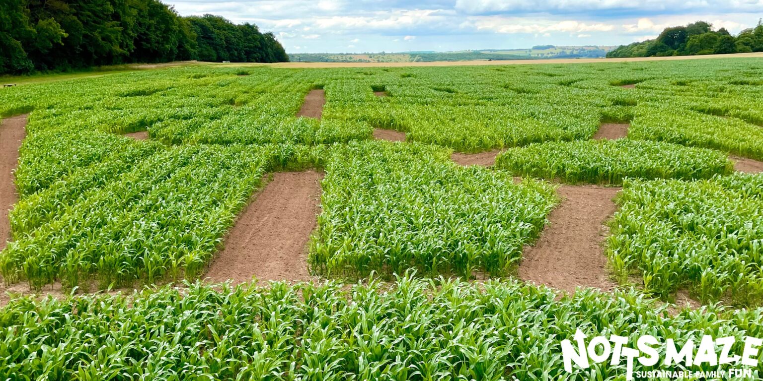 Over 60 Amazing Maize Mazes To Visit in 2023