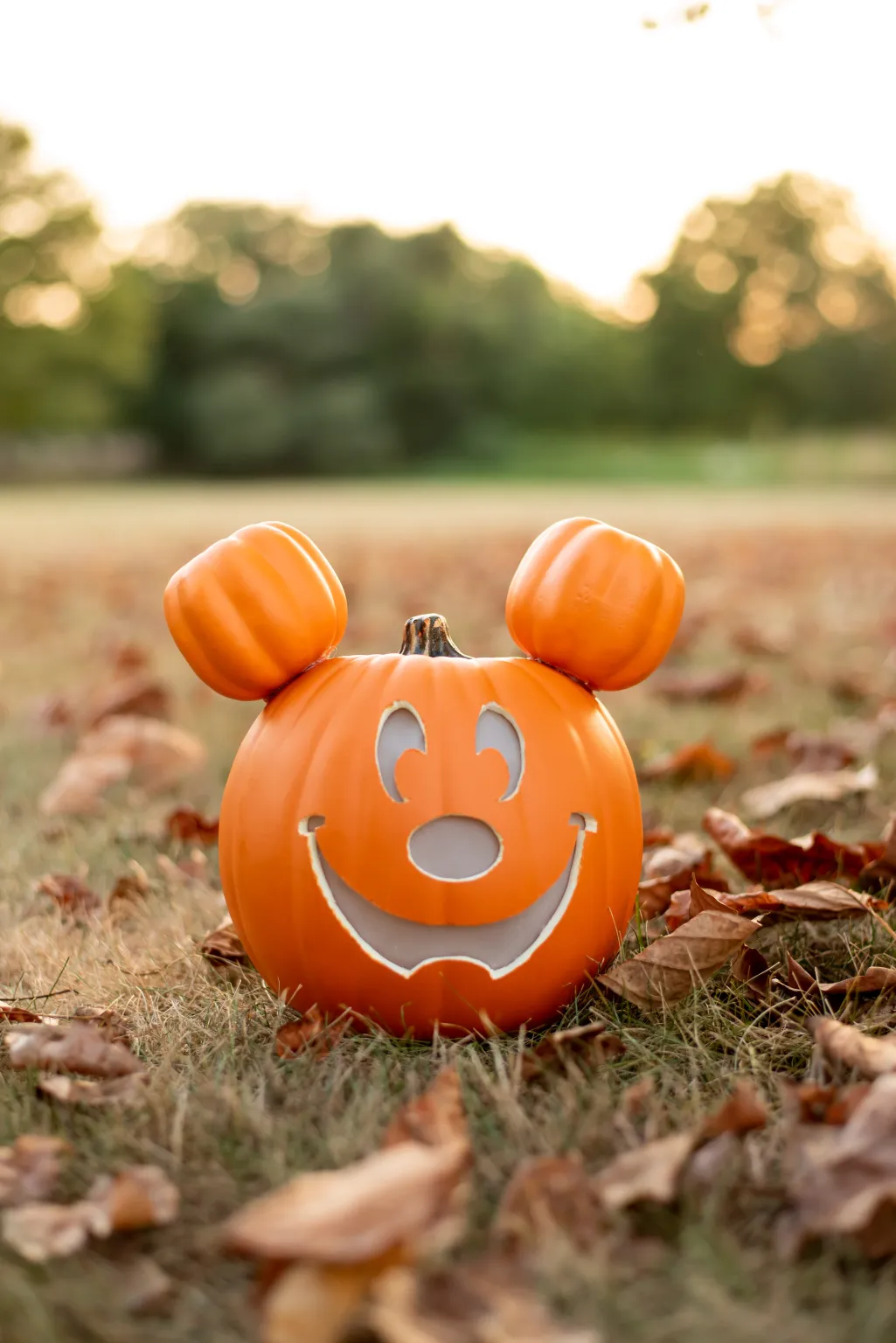 disney halloween crafts
